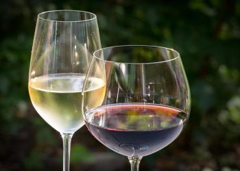white-wine-g21d384641_640